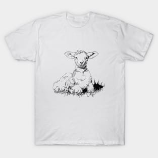 Lamb Ink Drawing T-Shirt